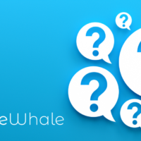Q&A with Tim Hogwood from SourceWhale