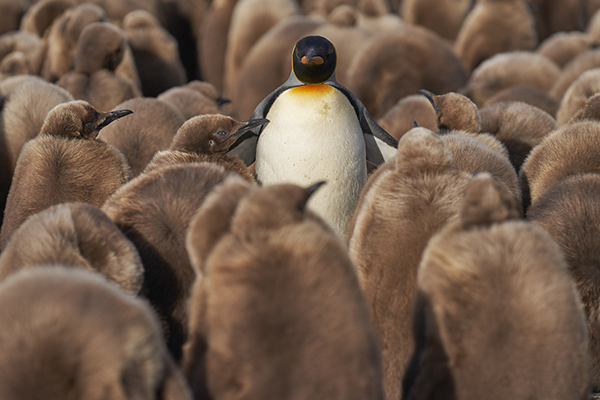 Creating compelling content for recruiting websites