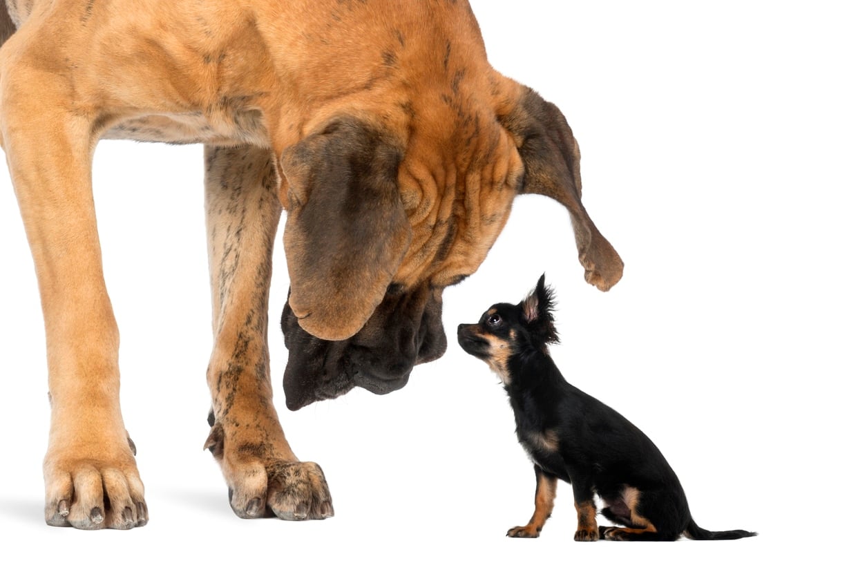Small Recruiting Firm Marketing: How to Compete with Larger Agencies Online
