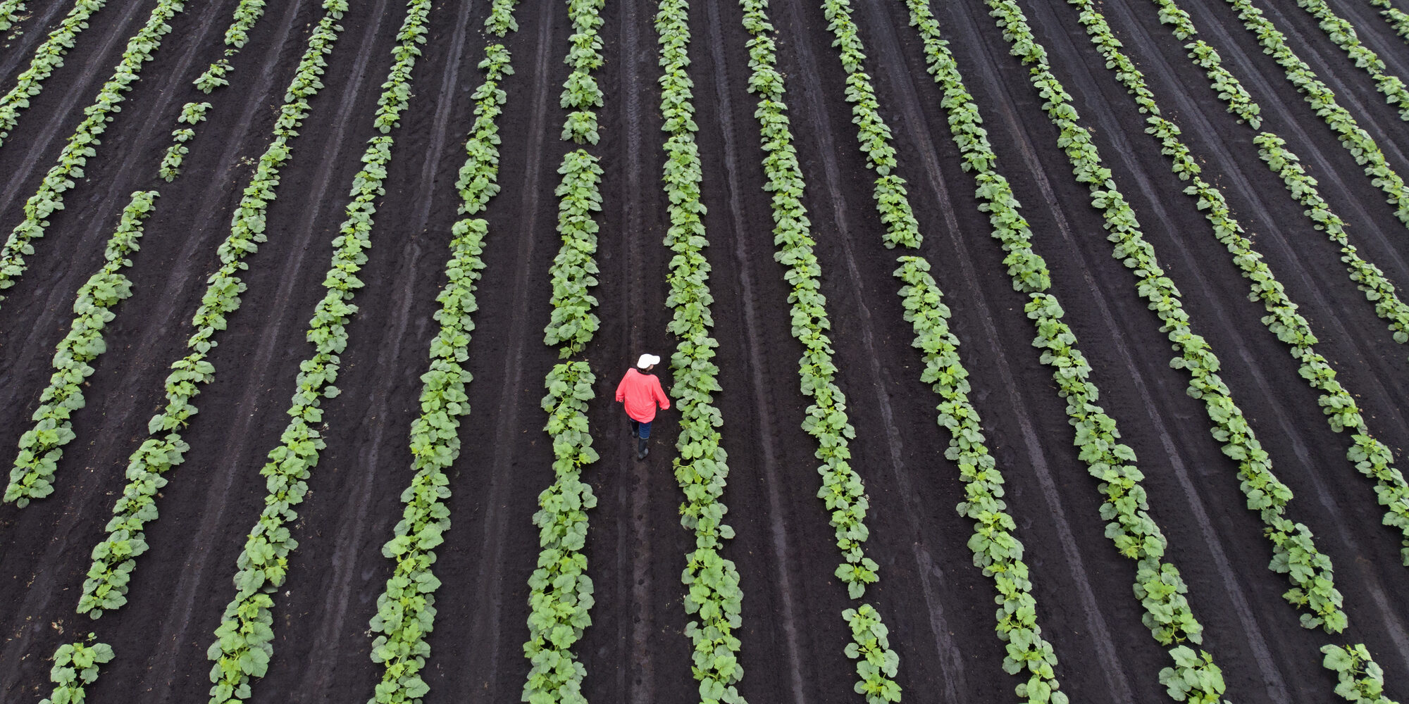 SEO for Agriculture Recruiters